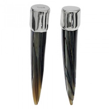 Silver Abalone Shell Tusk Studs