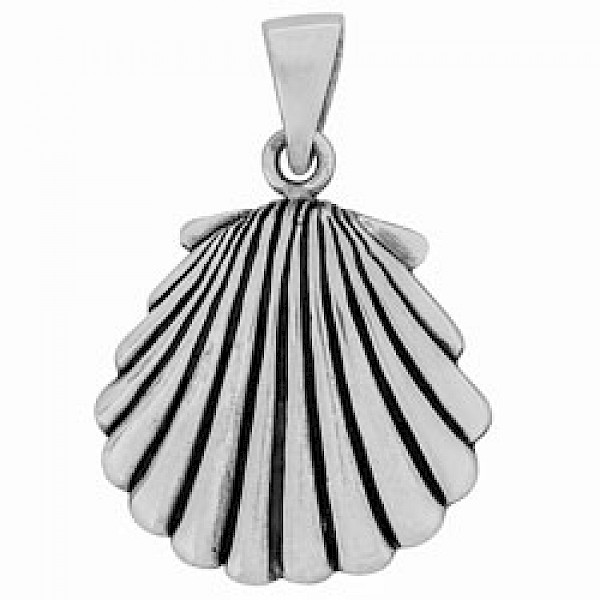Silver Clam Shell Pendant - PT691