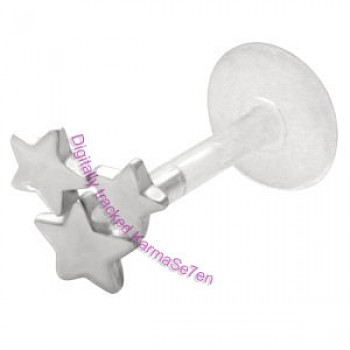Silver Star Cluster Tragus Stud