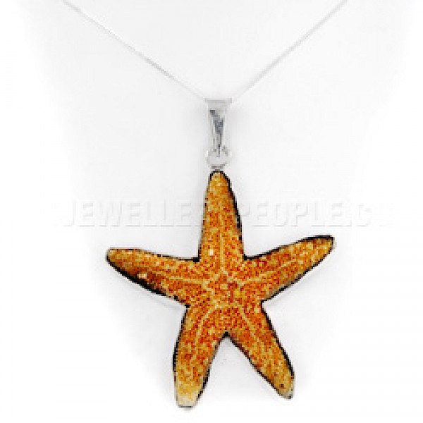 Starfish & Silver Pendant - SL133