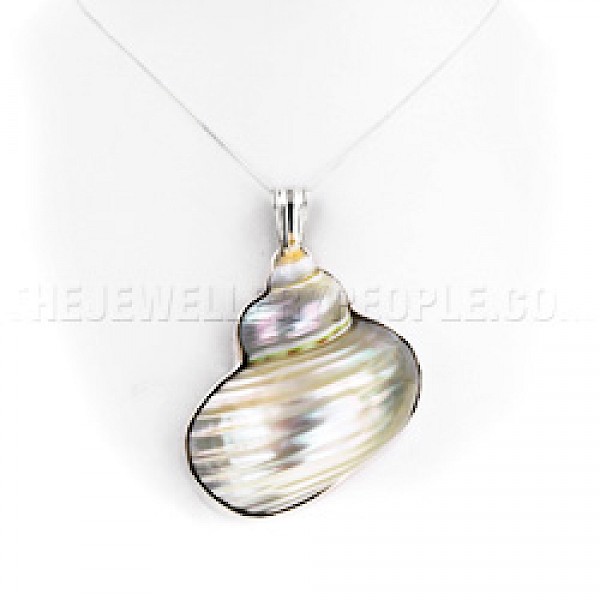 Turbo Shell & Silver Pendant - SL159