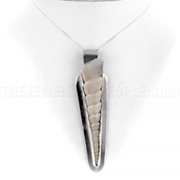 Turratella Shell & Silver Pendant - SL141