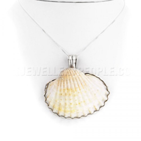 White Clam Shell & Silver Pendant