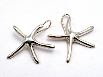 Starfish Earrings ES738