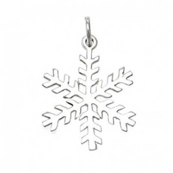 Snowflake Pendant - PT380