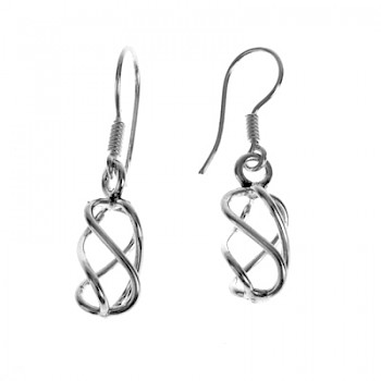 Wire Cage Drop Earrings -ES978