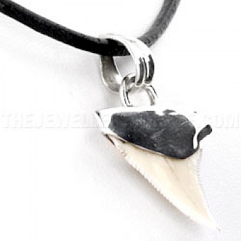 Shark Tooth Pendant - 20mm - PT414