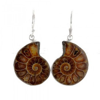 Brown Ammonite & Silver Earrings
